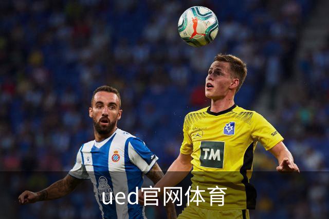 ued官网体育公司简介